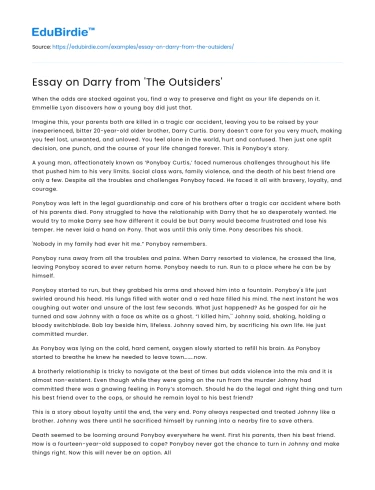 Essay on Darry from ‘The Outsiders’