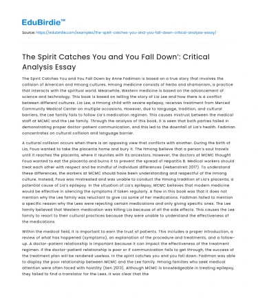 The Spirit Catches You and You Fall Down’: Critical Analysis Essay