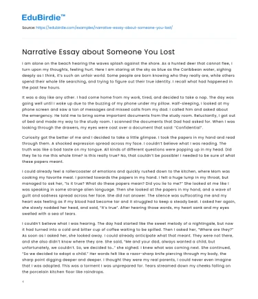 Narrative Essay about Someone You Lost