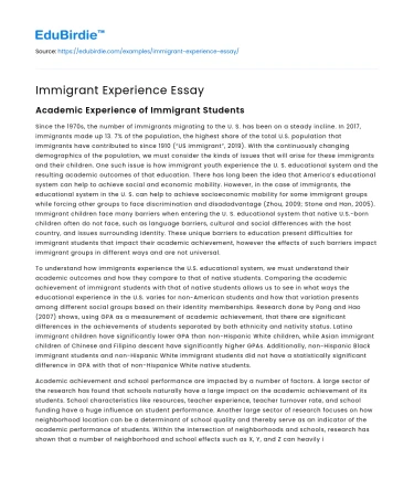 Immigrant Experience Essay