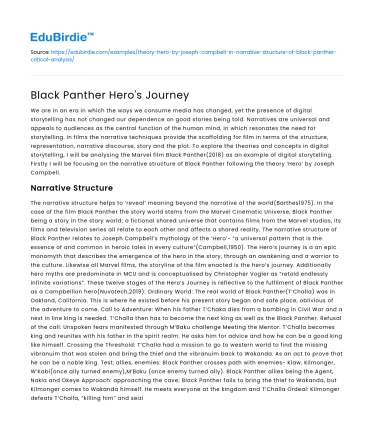 Black Panther Hero’s Journey