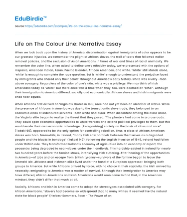 Life on The Colour Line: Narrative Essay