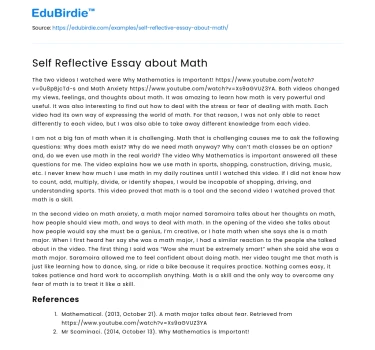 Self Reflective Essay about Math