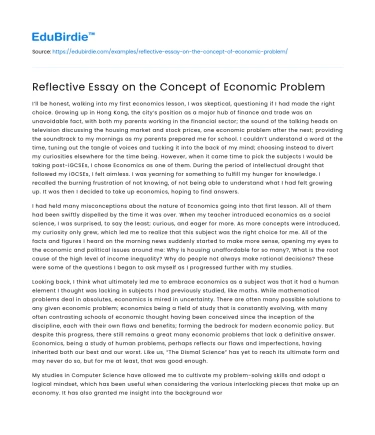 Reflective Essay on the Concept of Economic Problem
