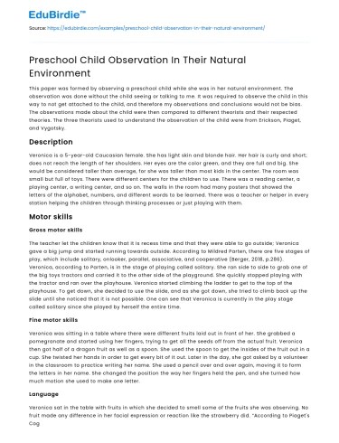 Preschool Child Observation In Their Natural Environment