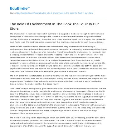 The Role Of Environment In The Book The Fault In Our Stars