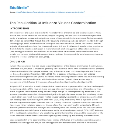 The Peculiarities Of Influenza Viruses Contamination