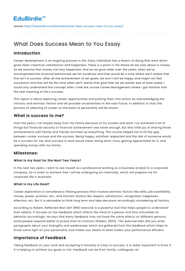 What Does Success Mean to You Essay