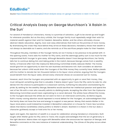 Critical Analysis Essay on George Murchison’s ‘A Raisin in the Sun’