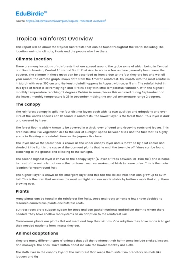 Tropical Rainforest Overview