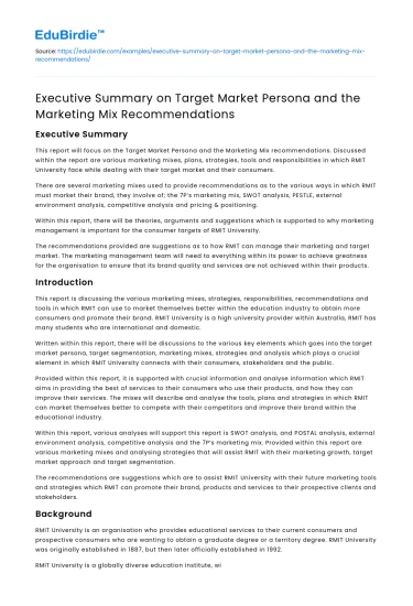 Target Market Persona and Crafting a Marketing Mix Strategy