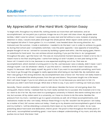 My Appreciation of the Hard Work: Opinion Essay