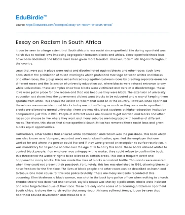 Essay on Racism in South Africa