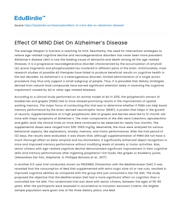 Impact of MIND Diet on Alzheimer’s Progression