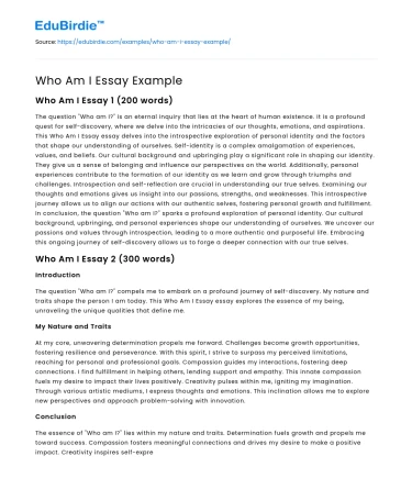 Who Am I Essay Example