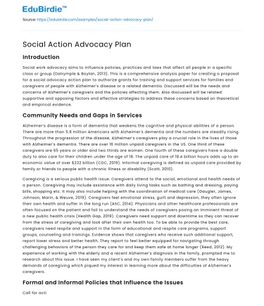 Social Action Advocacy Plan
