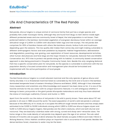 Life And Characteristics Of The Red Panda