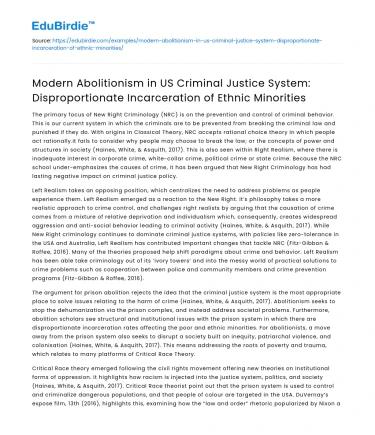 Modern Abolitionism: Ethnic Minorities in US Justice