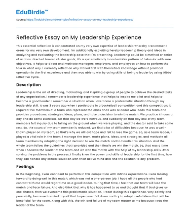 Reflective Essay on My Leadership Experience