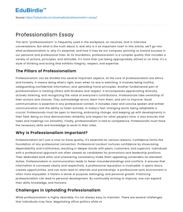 Professionalism Essay