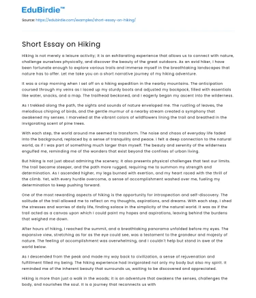 Short Essay on Hiking