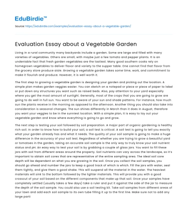 Evaluation Essay about a Vegetable Garden