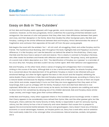 Bob’s Complexity in Hinton’s ‘The Outsiders’