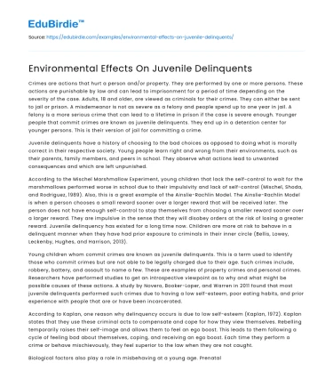 Environmental Effects On Juvenile Delinquents