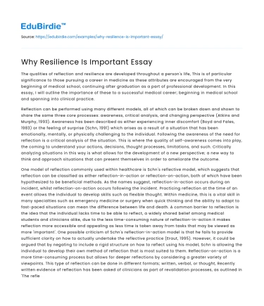 Why Resilience Is Important Essay