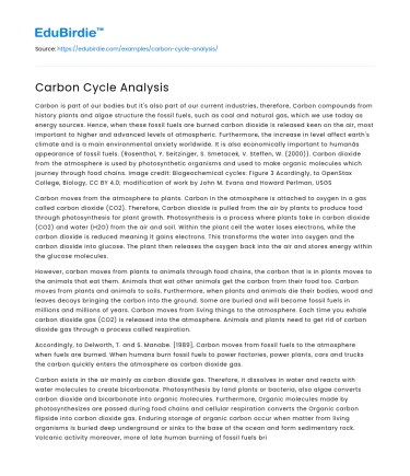 Carbon Cycle Analysis