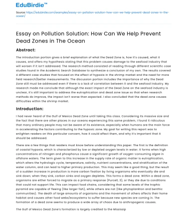 Preventing Dead Zones in Oceans: Pollution Essay