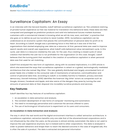 Surveillance Capitalism: An Essay