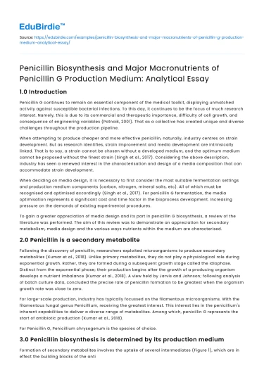 Penicillin Biosynthesis and Macronutrients in Production Medium Analysis