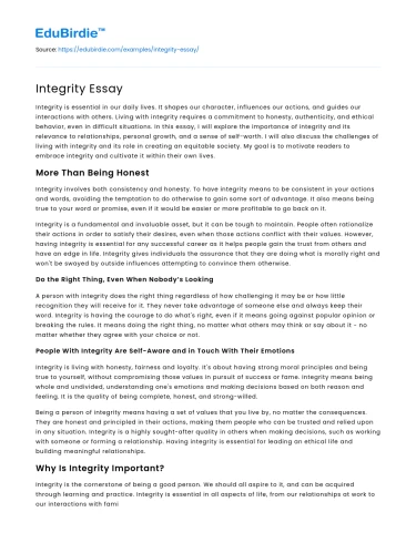 Integrity Essay