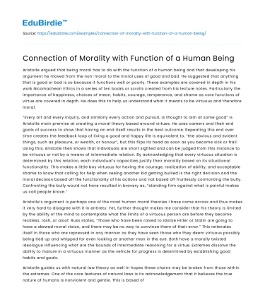Connection of Morality with Function of a Human Being