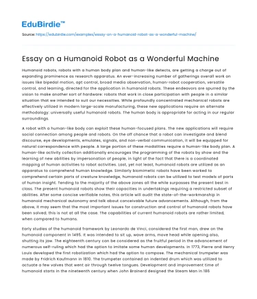 Essay on a Humanoid Robot as a Wonderful Machine