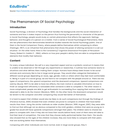 The Phenomenon Of Social Psychology