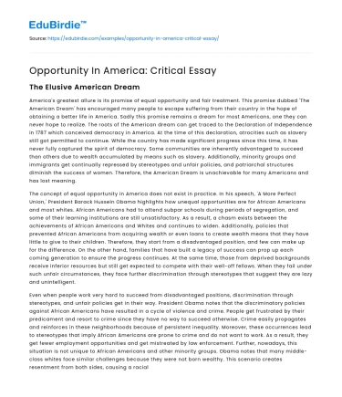 Opportunity In America: Critical Essay
