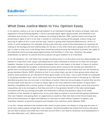 What Does Justice Mean to You: Opinion Essay