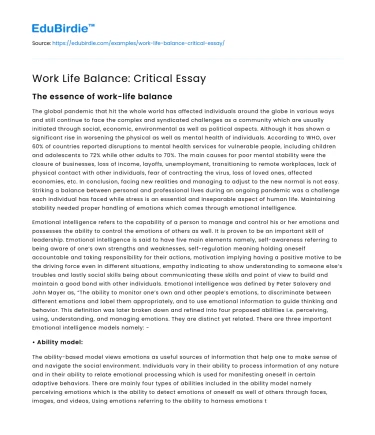 Work Life Balance: Critical Essay