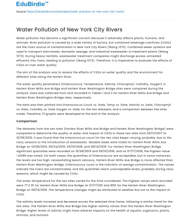 Water Pollution of New York City Rivers