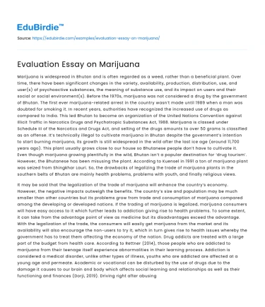 Evaluation Essay on Marijuana