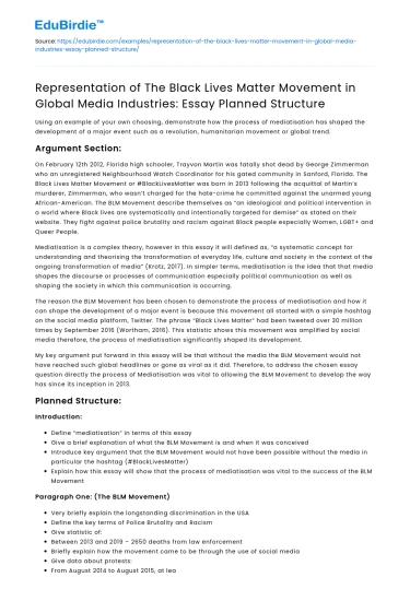 Global Media Industries: Representing the Black Lives Matter Movement