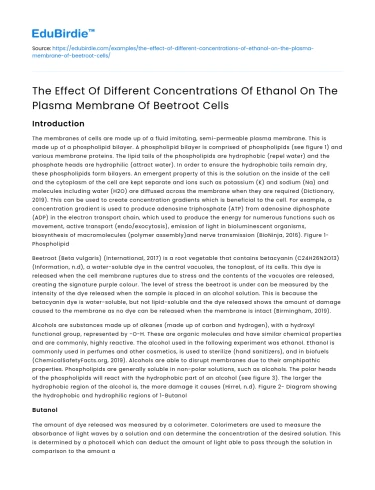 Impact of Ethanol Concentrations on Beetroot Cell Membrane