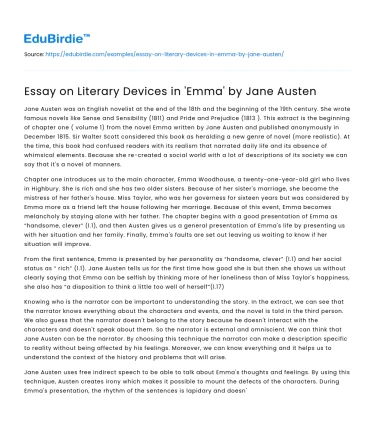 Essay on Literary Devices in ‘Emma’ by Jane Austen