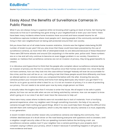 Essay About the Benefits of Surveillance Cameras in Public Places