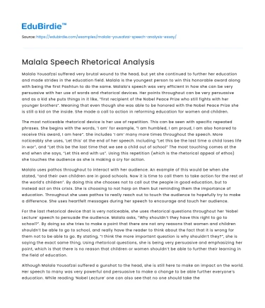 Malala Speech Rhetorical Analysis
