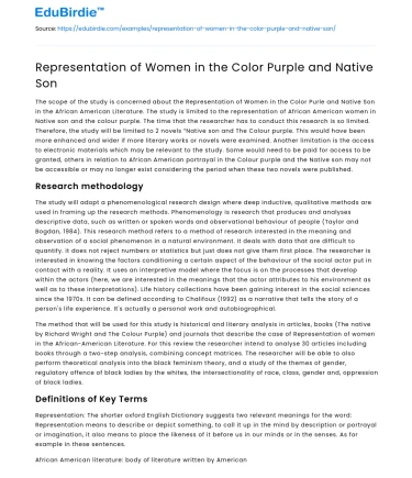 Representation of Women in the Color Purple and Native Son