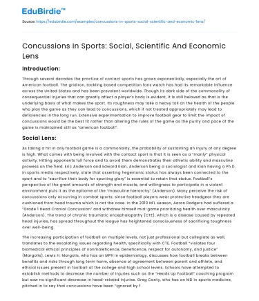 Concussions In Sports: Social, Scientific And Economic Lens