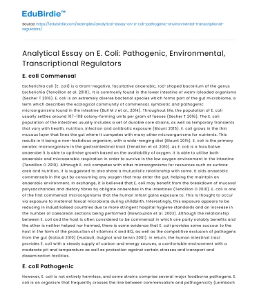 E Coli: Pathogenic Strains and Regulators